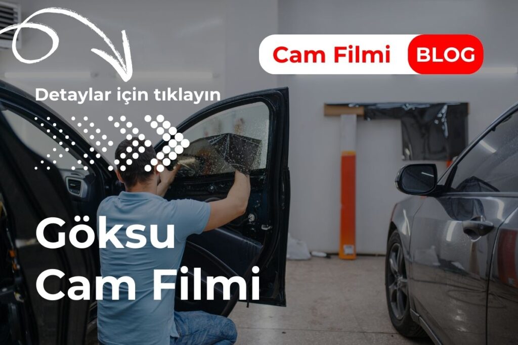 Göksu Cam Filmi